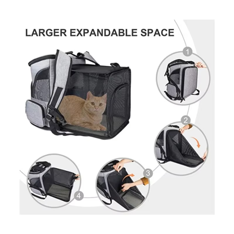 Cat Bag Outdoor Portable Cat B - Foldable Backpack Small 评论和价格
